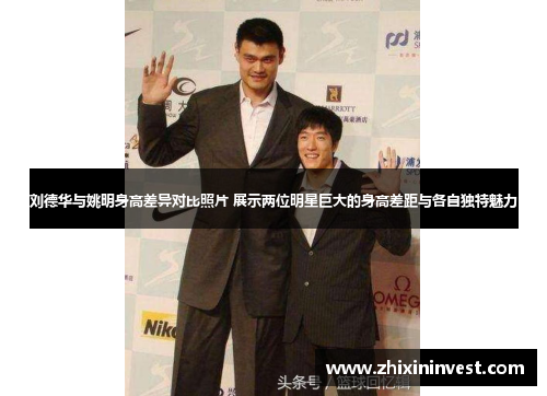 刘德华与姚明身高差异对比照片 展示两位明星巨大的身高差距与各自独特魅力