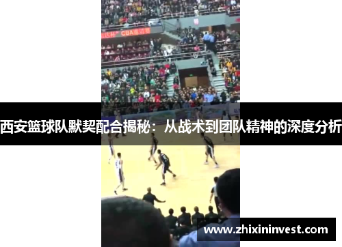 西安篮球队默契配合揭秘：从战术到团队精神的深度分析